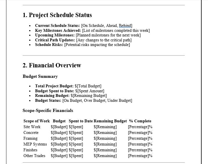 Project Manager Weekly Report