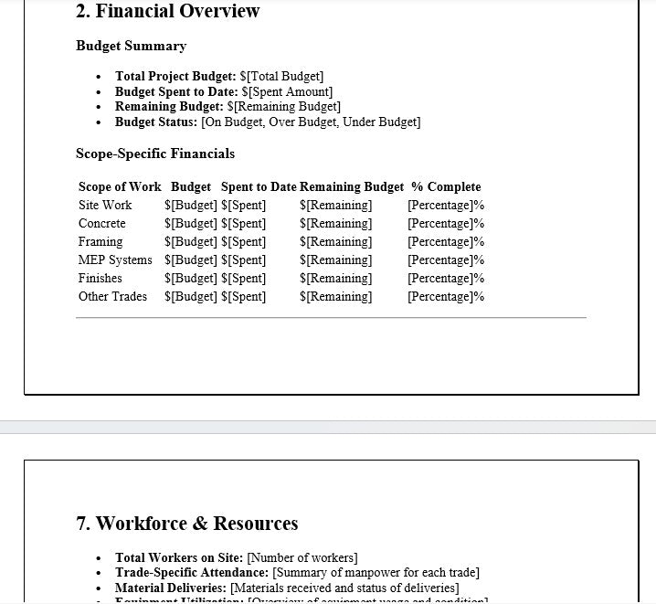 Project Manager Weekly Report